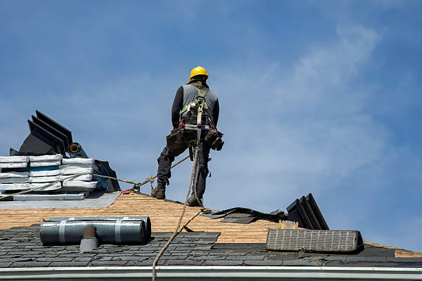 Professional Gutter Installation technician working in Iota, LA